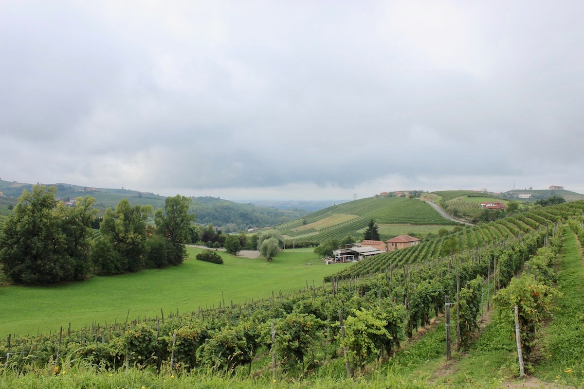 wow_langhe_eleonora-dal-pra_990